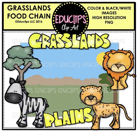 Grassland Animals Clipart at GetDrawings | Free download