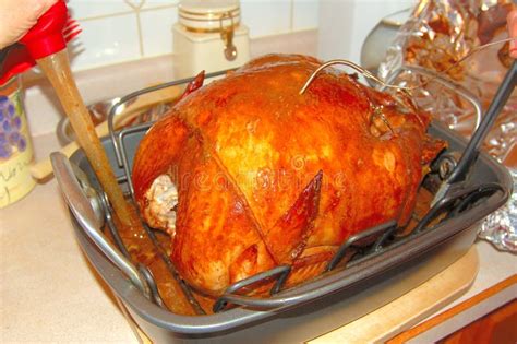 Basting Turkey 3 Stock Photo - Image: 7566840