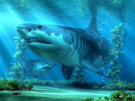 Megalodon Digital Art by Art of the Shark - Fine Art America