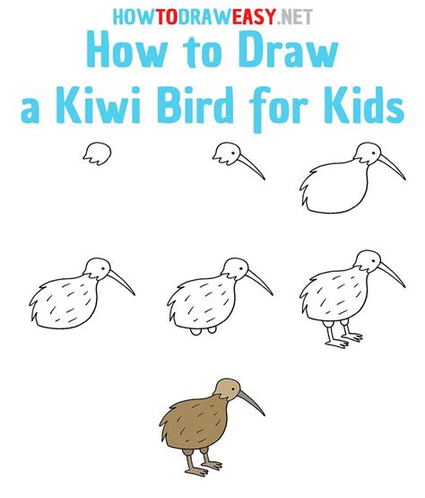 How to Draw a Kiwi Bird Step by Step #Kiwi #KiwiBird #KiwiDrawing # ...