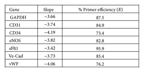 Endothelial marker expression in early and late cultured cardiac ...