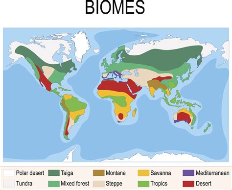 Tropical Rainforest Climate Zone