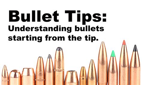 Just The tip. Understanding different bullet types. : Hunting