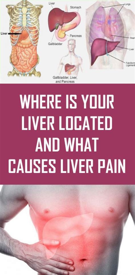 Human Liver Location Pain