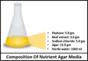 What is Nutrient Agar Media? Definition, Composition, Principle & Uses ...