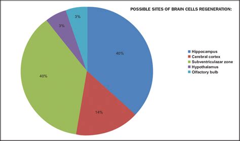 BRAIN STRUCTURES CAPABLE OF REGENERATION AFTER INJURY | Download ...