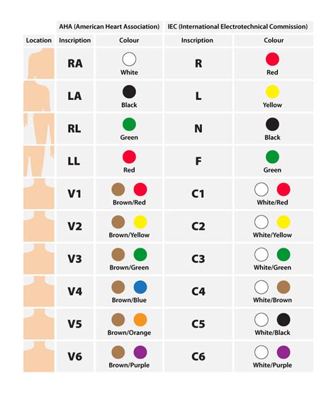 Pin by Katherine Colon on Medical school life in 2023 | Ekg placement ...