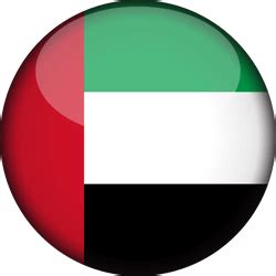 The United Arab Emirates flag icon - Country flags