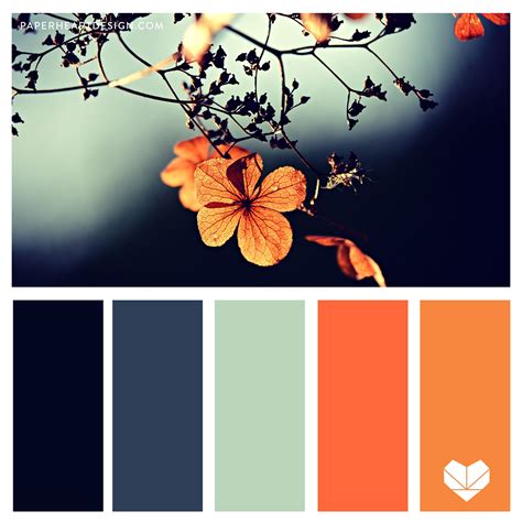 Teal Orange Color Palette Flowers | Orange color palettes, Color ...