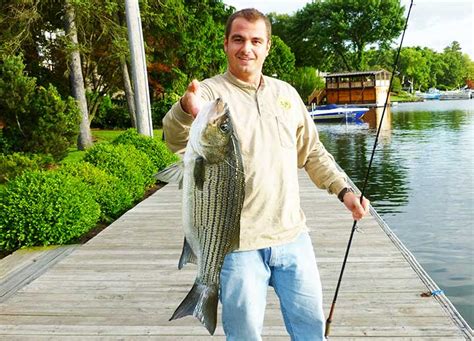 17 Best Hybrid Striped Bass Lures | By Captain Cody