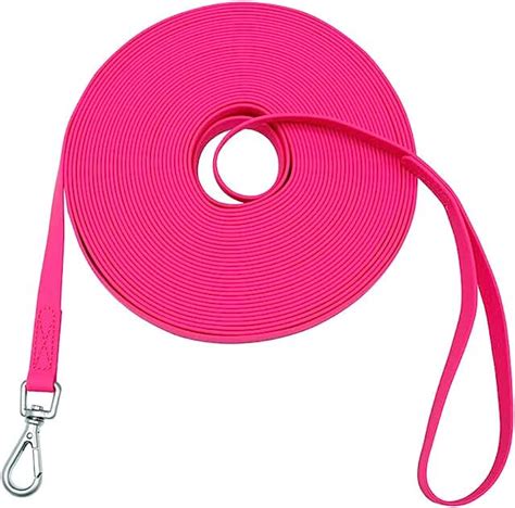 Dog Training Leashes - Amazon.com