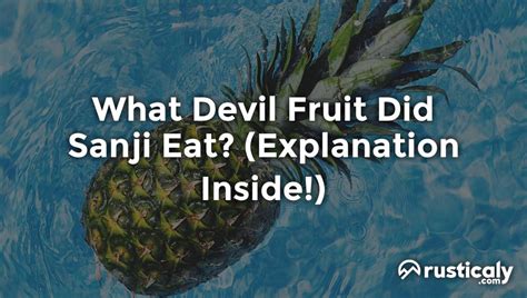 What Devil Fruit Did Sanji Eat? (Explanation Revealed!)