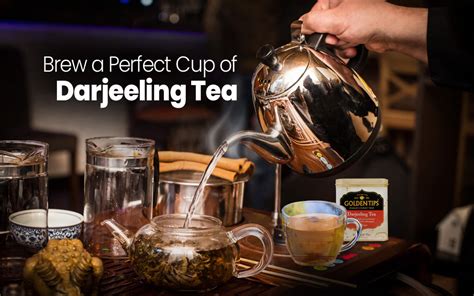 5 Things You Should Know Before Making Darjeeling Tea – Golden Tips Tea ...