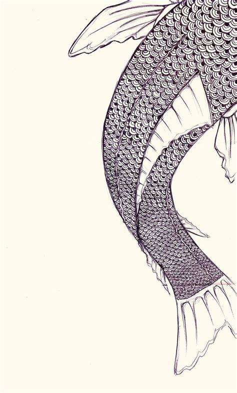 How To Draw Koi Fish Scales The koi fish is also a very popular tattoo ...