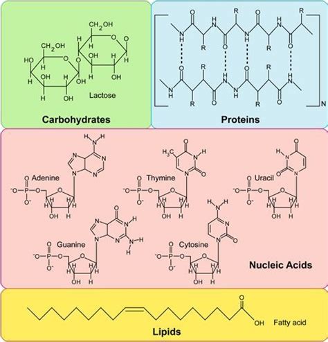 Pin on Biochemistry