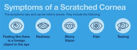 Eye Cornea Damage Symptoms - Infoupdate.org