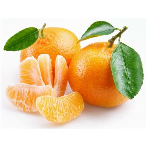 Sweet Mandarin orange Seeds (Citrus reticulata) - €2.05