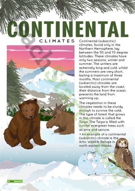 Climate Types of the World Poster - Continental Climates Teaching ...