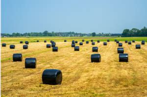 The Benefits of Silage Covers | Revel Juice