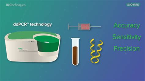 An introduction to Droplet Digital PCR - BioTechniques