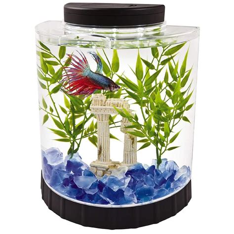 Fish Tank ideas - Fish Tank for sales #fishtank #fishtanks | Betta fish ...