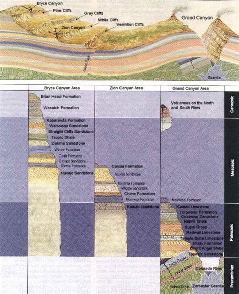 The Geologic Column