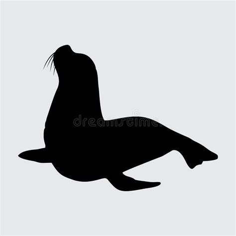 Sea Lion Silhouette, Sea Lion Isolated on White Background Stock Vector ...