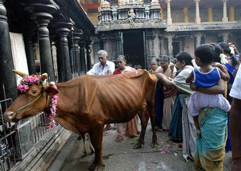 Hindu Rites and Rituals: The Ceremonies of Hinduism