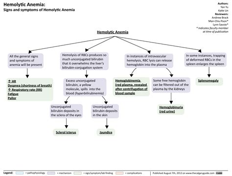 Hemolytic Anemia: Signs And Symptoms | Calgary Guide