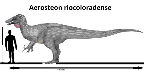 Aerosteon riocoloradense by Teratophoneus on DeviantArt