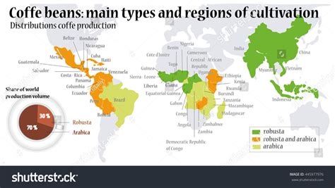 World Map Coffee Beans Main Types Stock Vector (Royalty Free) 445977976 ...