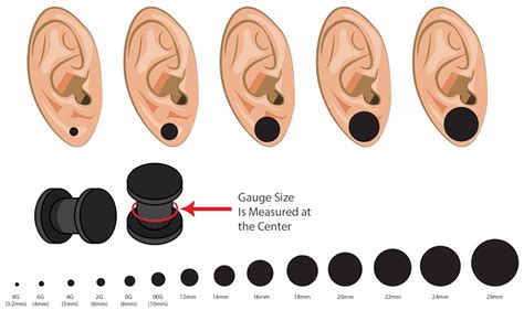 Ear Gauge Size Chart Actual Size Ear Chart • Plug | Dog Breeds Picture