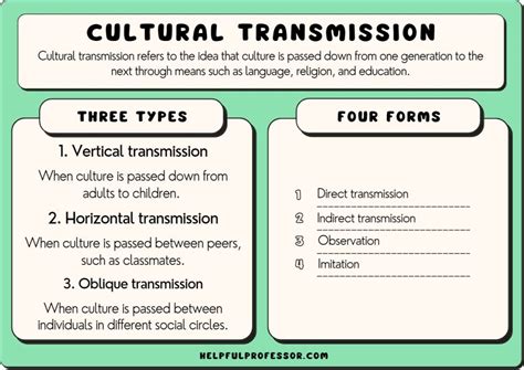 Cultural Transmission: Definition, Types and Examples (2024)