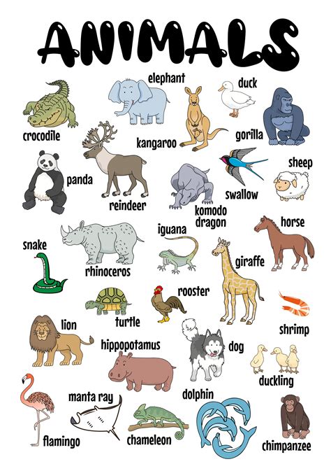 Animal Poster Printable Digital Print Poster 27 Animals School ...