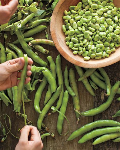 15 Fava Bean Recipes You Need to Try This Spring | Martha Stewart