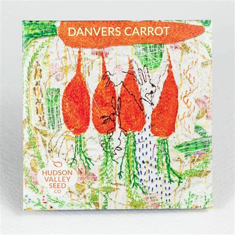 Danvers Carrot Seeds – Hudson Valley Seed Company