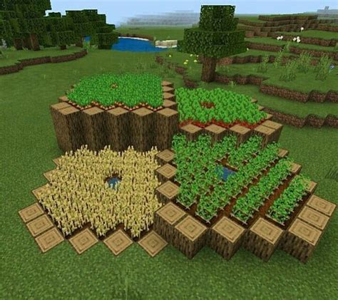 Farme de plantação organizada in 2020 | Minecraft farm, Amazing ...