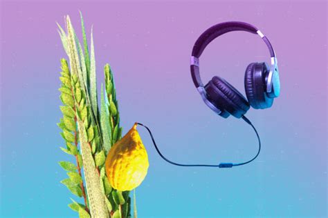 18 Songs for Your Ultimate Sukkot Playlist - Hey Alma