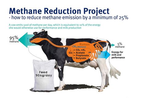 Project Clean Cow | Methane, Emissions, Cow