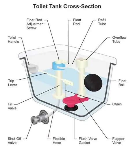 Parts Of A Toilet Components Of A Toilet, 48% OFF