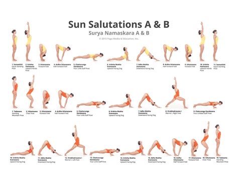 Sun Salutation Postures