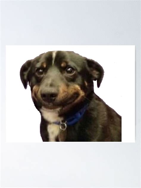 "awkward dog smile meme" Poster for Sale by Jennie Jacobs | Redbubble