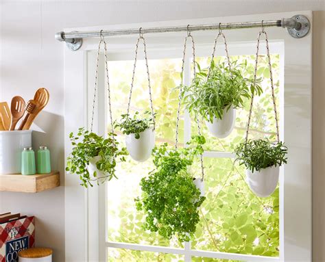 Hang Your Herbs Over a Window for Full Sun and Easy Access | Hanging ...