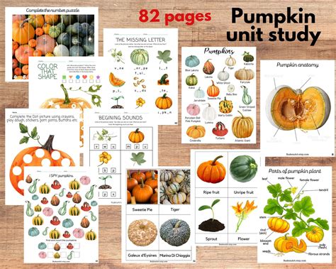 Pumpkin unit study, Pumpkin anatomy and life cycle, Pumpkin varieties ...