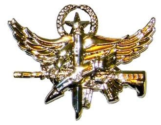 SWAT Operator Insignia Pin - Center Mass - Master - Polished Gold - 20% Off