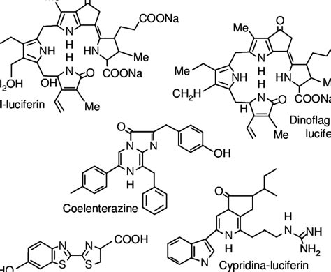 Molecular structure of the luciferins which are used for light ...