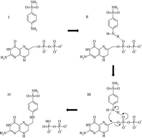 Schematic of a proposed enzymatic reaction mechanism 'performed' by S ...