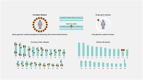 Complex Disease