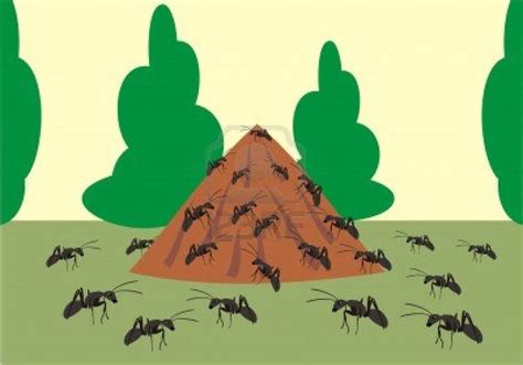 Ants nest clipart - Clipground