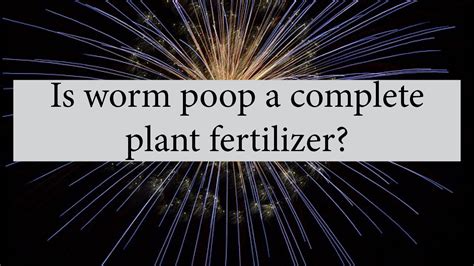 Is Worm Poop A Complete Plant Fertilizer? | Tater Junction